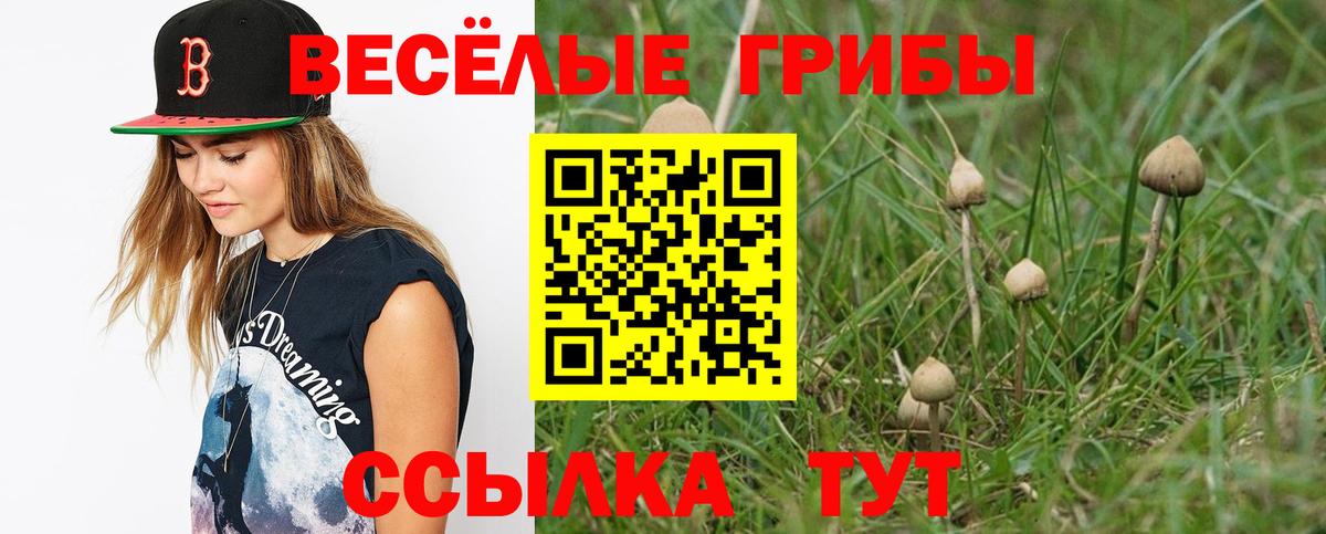 Новодвинск  хочу   Вход с VPN  Псилоцибиновые грибы Psilocybine cubensis  Галлюциногенные грибы Cubensis 