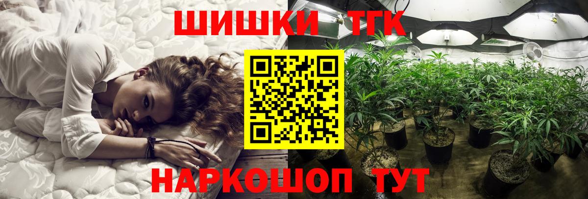 Шишки марихуана THC 21%  Вход с VPN  Марихуана план  Марихуана марихуана  Новодвинск 
